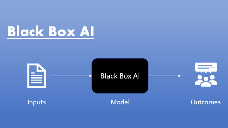 Black Box AI là gì? Hiểu về hộp đen trong trí tuệ nhân tạo