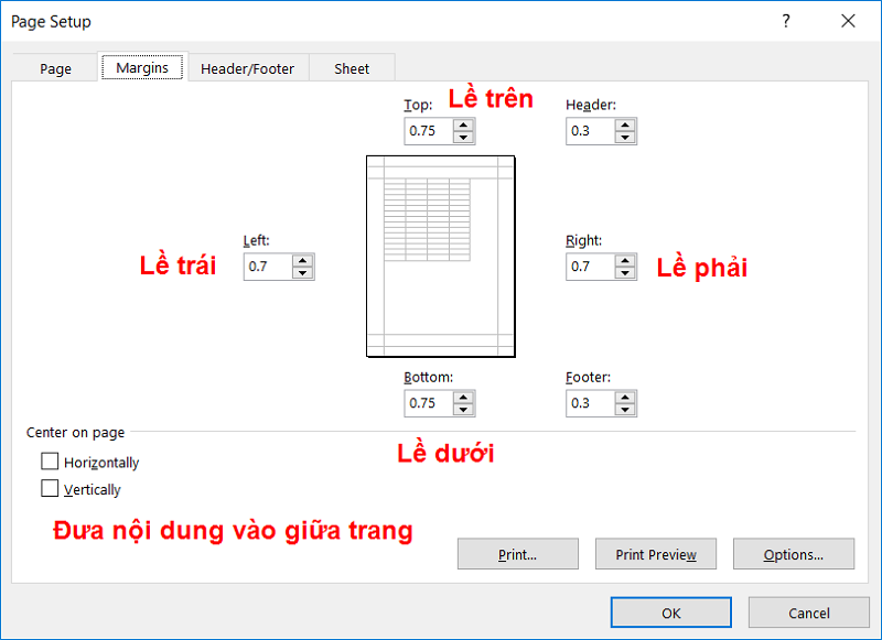 Dùng Page Break Preview để xem trước vùng in