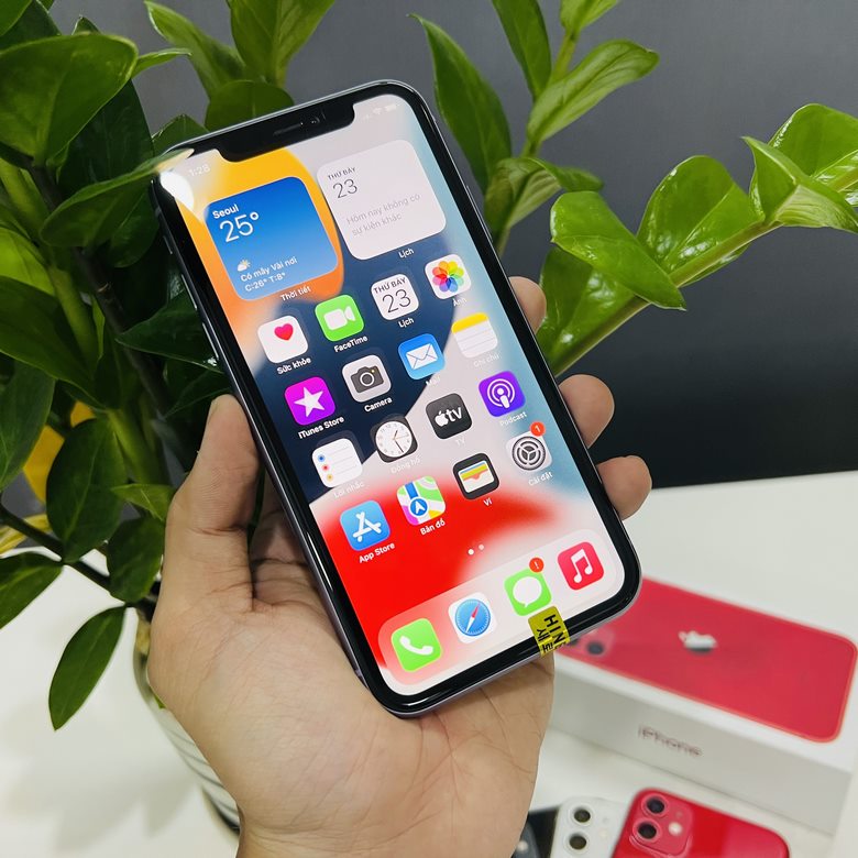 màn hình iPhone 11