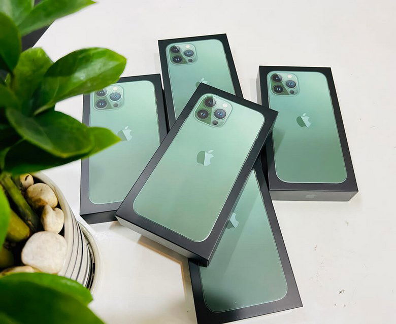 iPhone 13 pro max