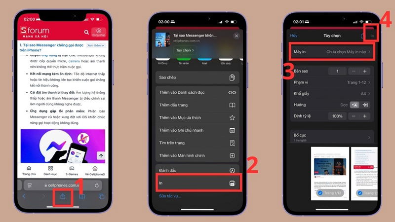 In trang web từ Safari