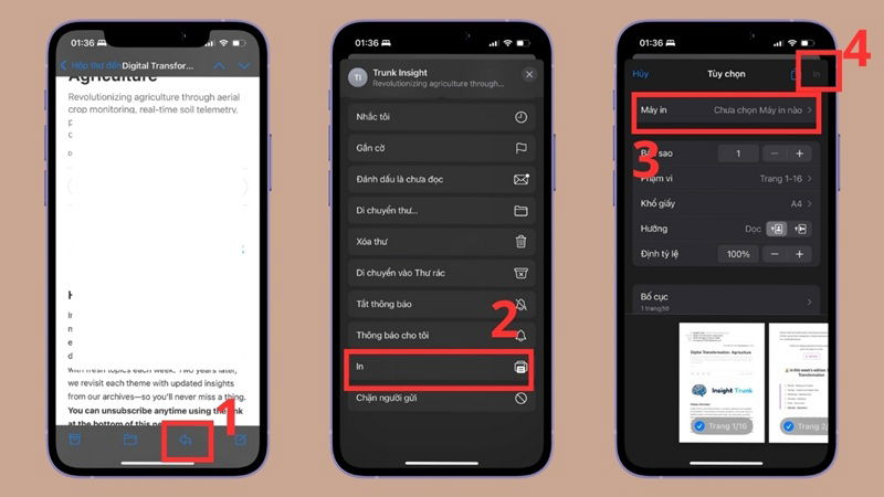 In tài liệu từ hòm thư điện tử
