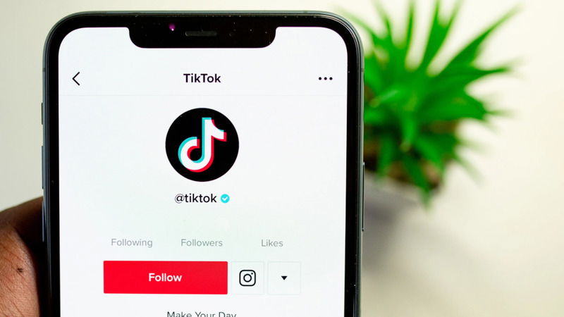 Theo dõi tài khoản chính hãng trên TikTok Shop