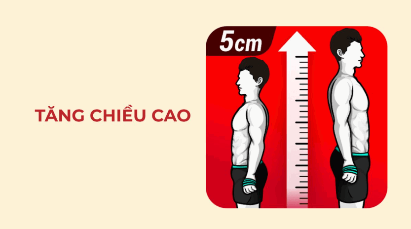Tăng Chiều Cao