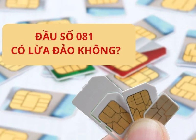 Sim đầu số 081 có phải là lừa đảo hay không?