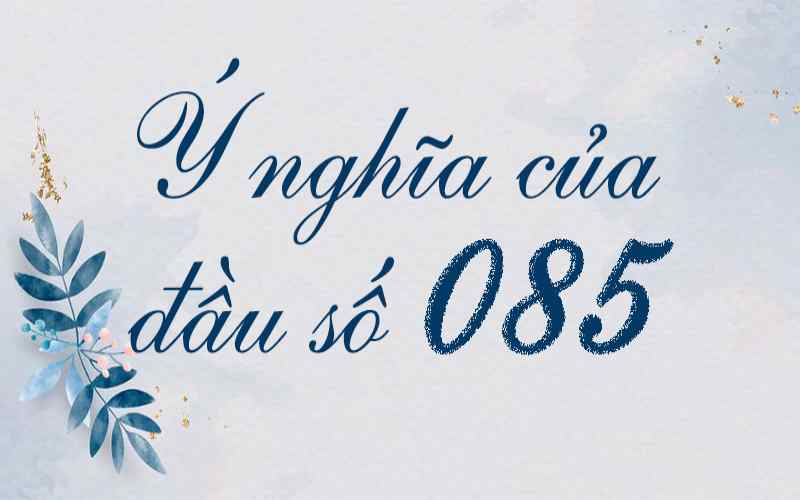 Ý nghĩa của đầu số 085 - Có gì đặc biệt