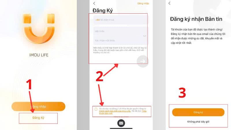 Các bước cài đặt cơ bản