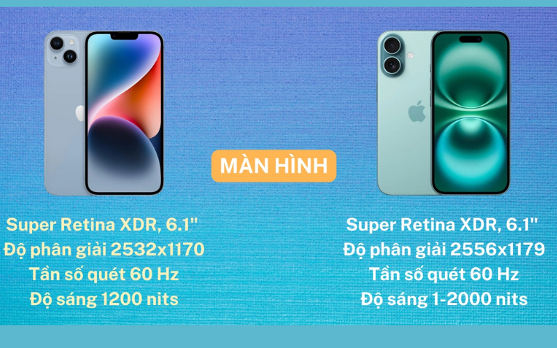 Không gian hiển thị rực rỡ 5