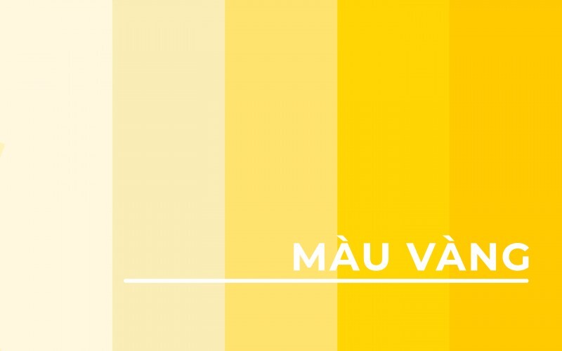 Bảng màu vàng tươi rực rỡ dễ dàng pha từ các màu phổ biến