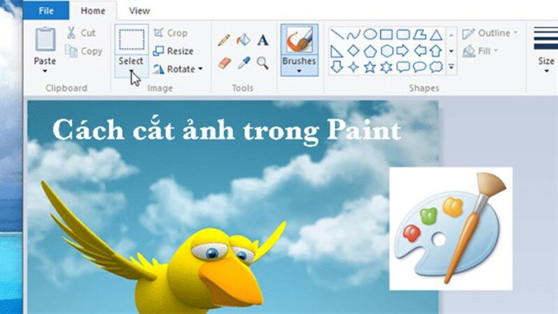Phần mềm Paint với vùng ảnh được chọn và nút Crop đang được sử dụng