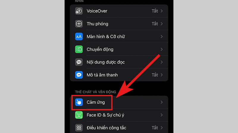 Vào phần Cảm ứng để tìm Haptic Touch