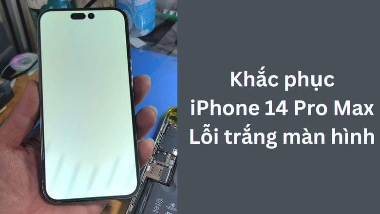 iPhone 14 Pro Max bị trắng màn hình: Nguyên nhân và cách khắc phục hiệu quả