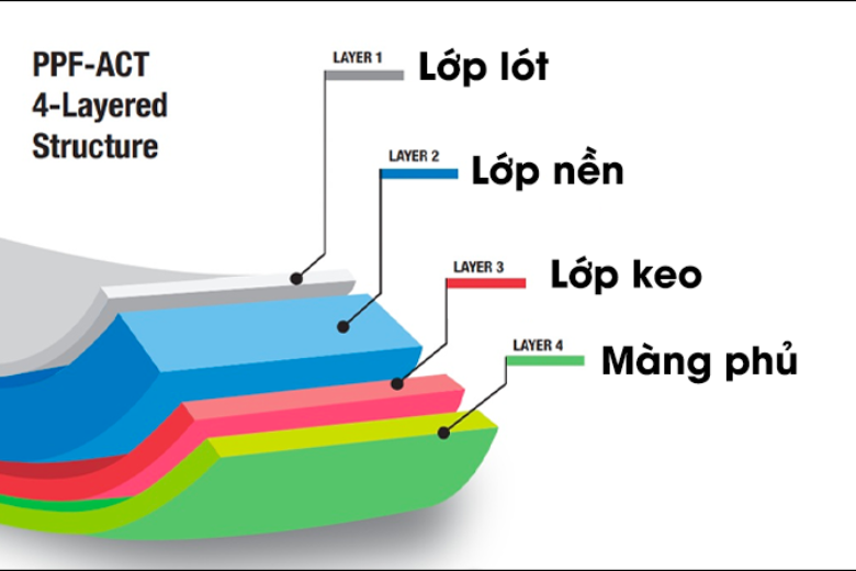 dan-ppf-la-gi-3