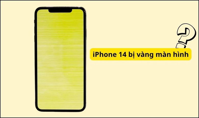 Màn hình bị ngả vàng khiến hình ảnh, video hiển thị không chân thực