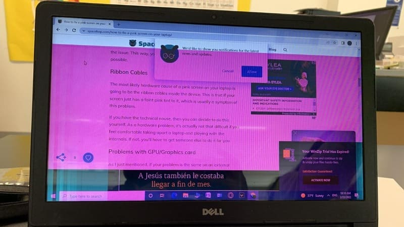 Màn hình máy tính bị ám hồng