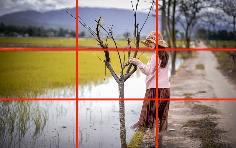 Ảnh chụp với nền tối giản giúp làm nổi bật chủ thể chính