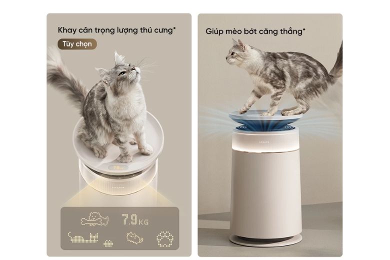 Máy lọc không khí Dreame FP10 chính hãng 2