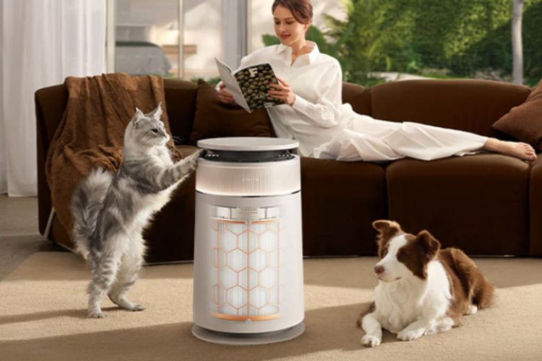 Máy lọc không khí Dreame FP10 chính hãng 3