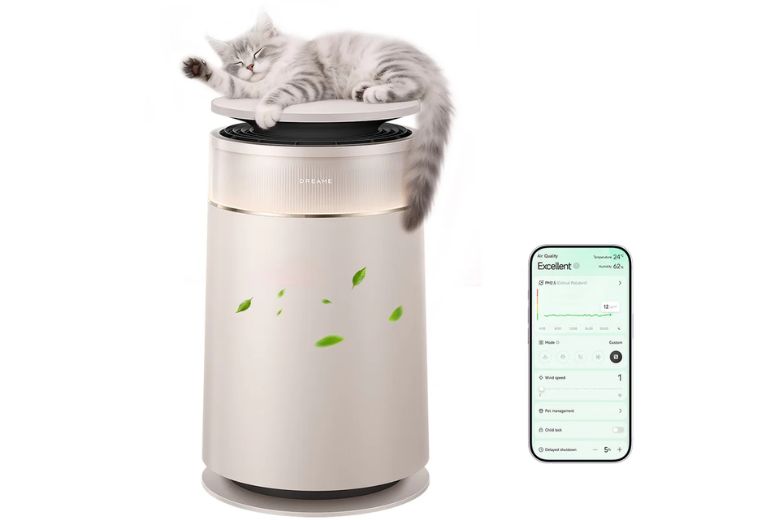 Máy lọc không khí Dreame FP10 chính hãng 7