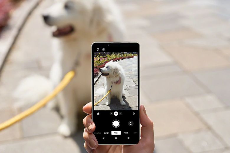 Sony Xperia 10 VIII 5