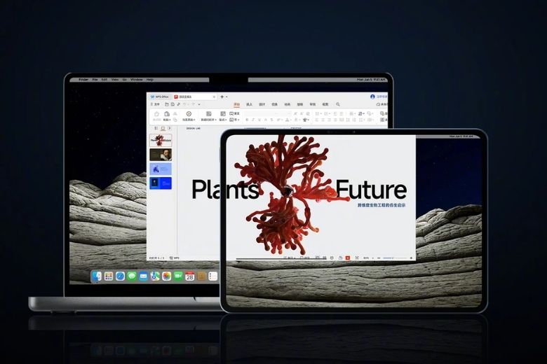 Xiaomi Pad 8 series 5