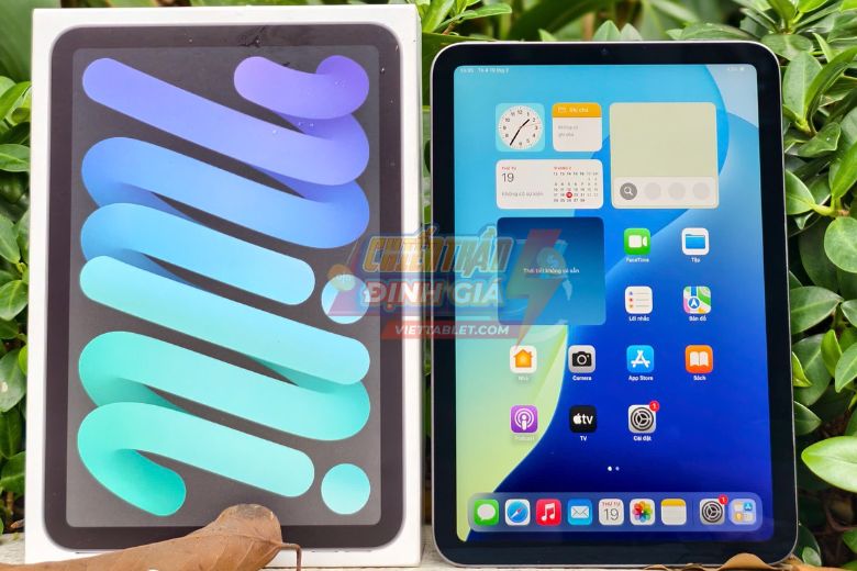 iPad Mini 6 màn hình tràn viền