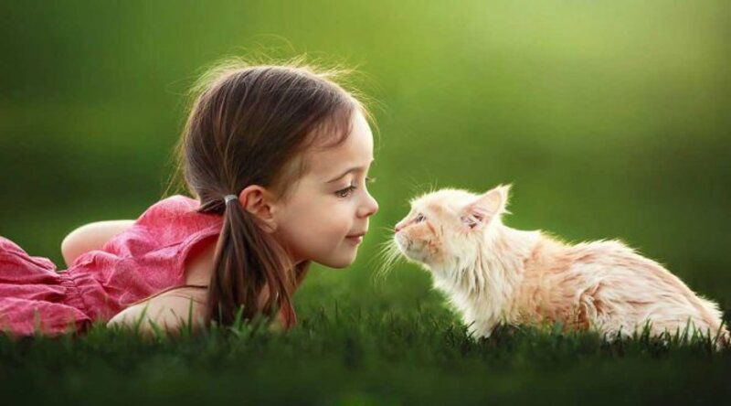 Mèo và trẻ em – bộ đôi khiến tim bạn tan chảy vì quá đỗi đáng yêu