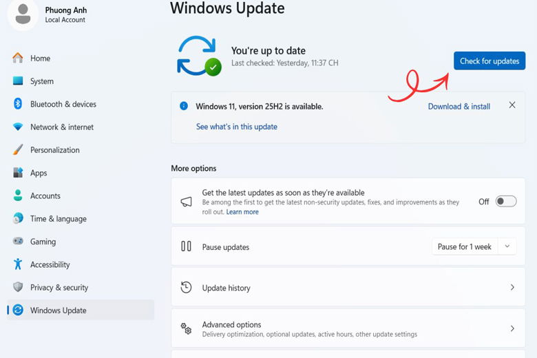 Copilot nhận sai lệnh hoặc không cho phản hồi