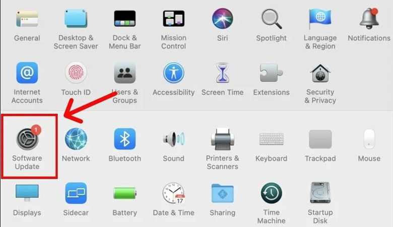 cập nhật phiên bản mới nhất