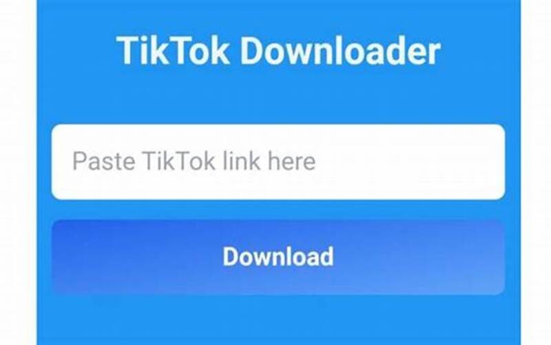  Sử dụng TikTok Downloader để tải video không logo