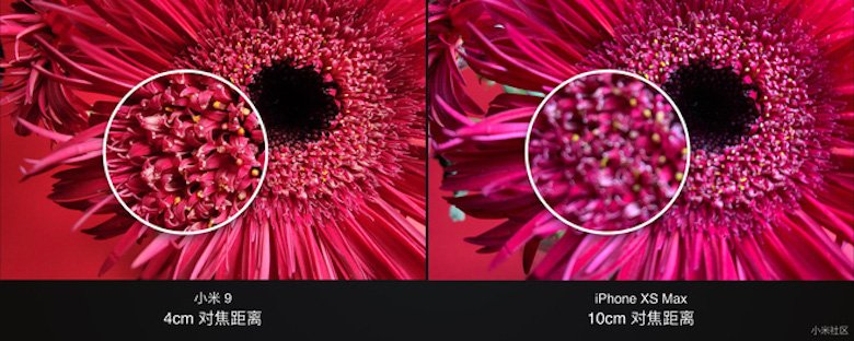 ảnh so sánh camera của xiaomi mi 9 và iphone xs max