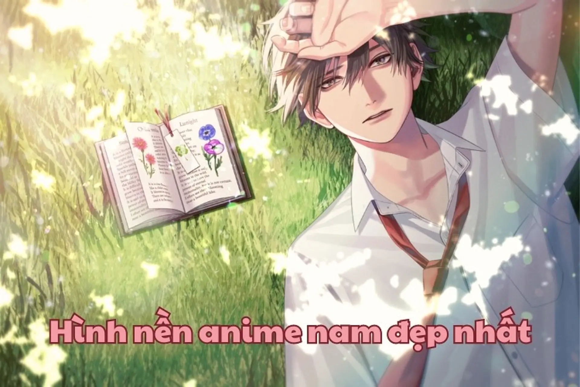 anh-anime-nam