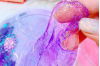 cach-lam-slime-1