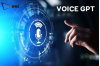 chatgpt-voice-1