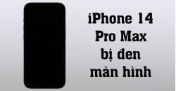 iphone-14-pro-max-bi-den