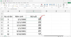 cach-tinh-tuoi-trong-excel-1