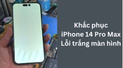 iphone-14-pro-max-bi-trang-man-hinh