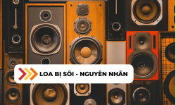 loa-bi-soi