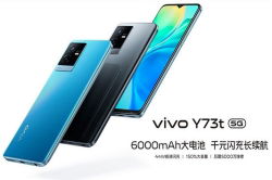 vivo-y73t-ra-mat