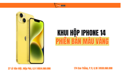 iPhone-14-yellow__14_