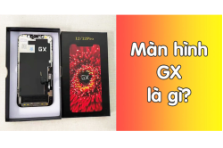 man-gx-la-gi__2_