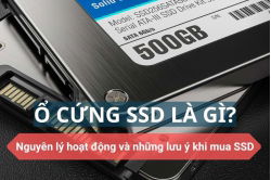 ssd-la-gi