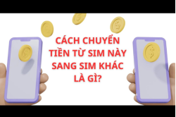 cach-chuyen-tien-tu-sim-nay-sang-sim-khac__3_