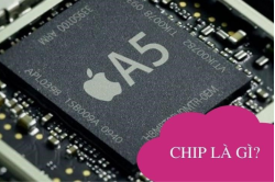 chip-la-gi__5_