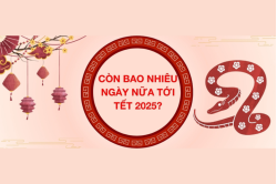 con-bao-nhieu-ngay-nua-la-tet-2025__2_