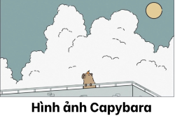 hinh-anh-capybara__24_ hinh-anh-capybara__24_