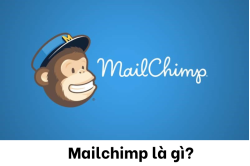 mailchimp__11_ mailchimp__11_