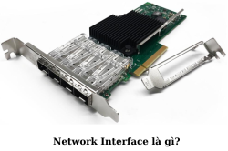 network-interface-la-gi__6_