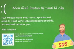 man-hinh-laptop-bi-xanh-la-cay