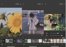 chinh-trang-da-tren-xingtu-1